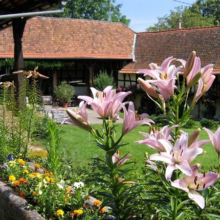 Le Gite Des Ecureuils Schalkendorf Bagian luar foto