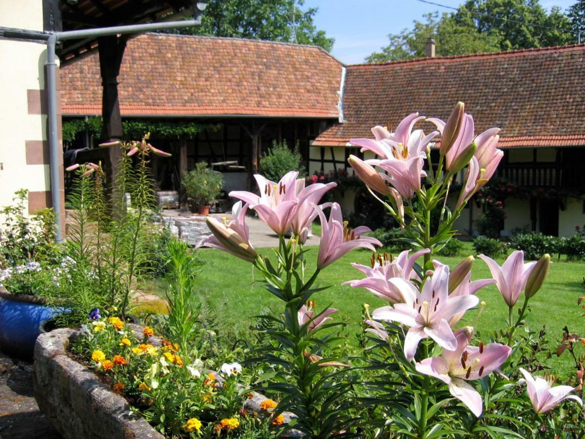 Le Gite Des Ecureuils Schalkendorf Bagian luar foto