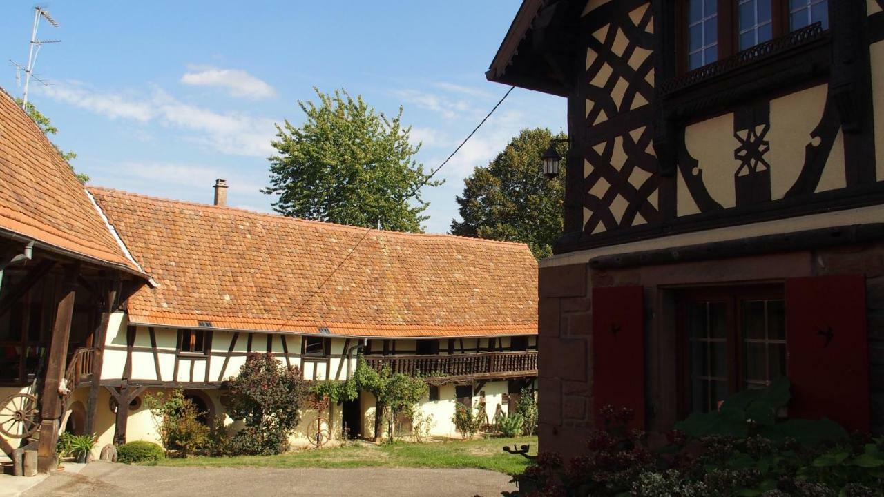 Le Gite Des Ecureuils Schalkendorf Bagian luar foto