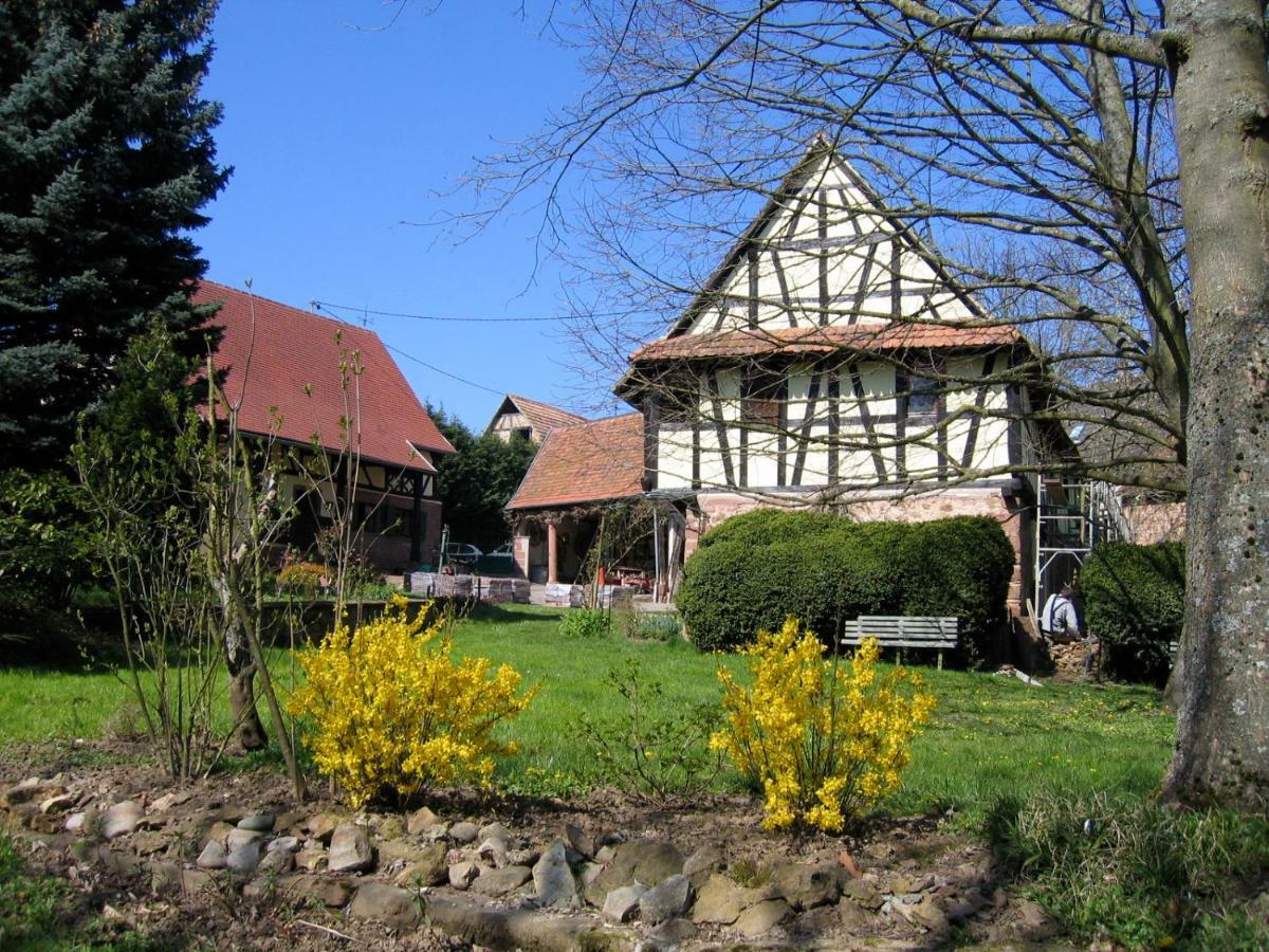 Le Gite Des Ecureuils Schalkendorf Bagian luar foto