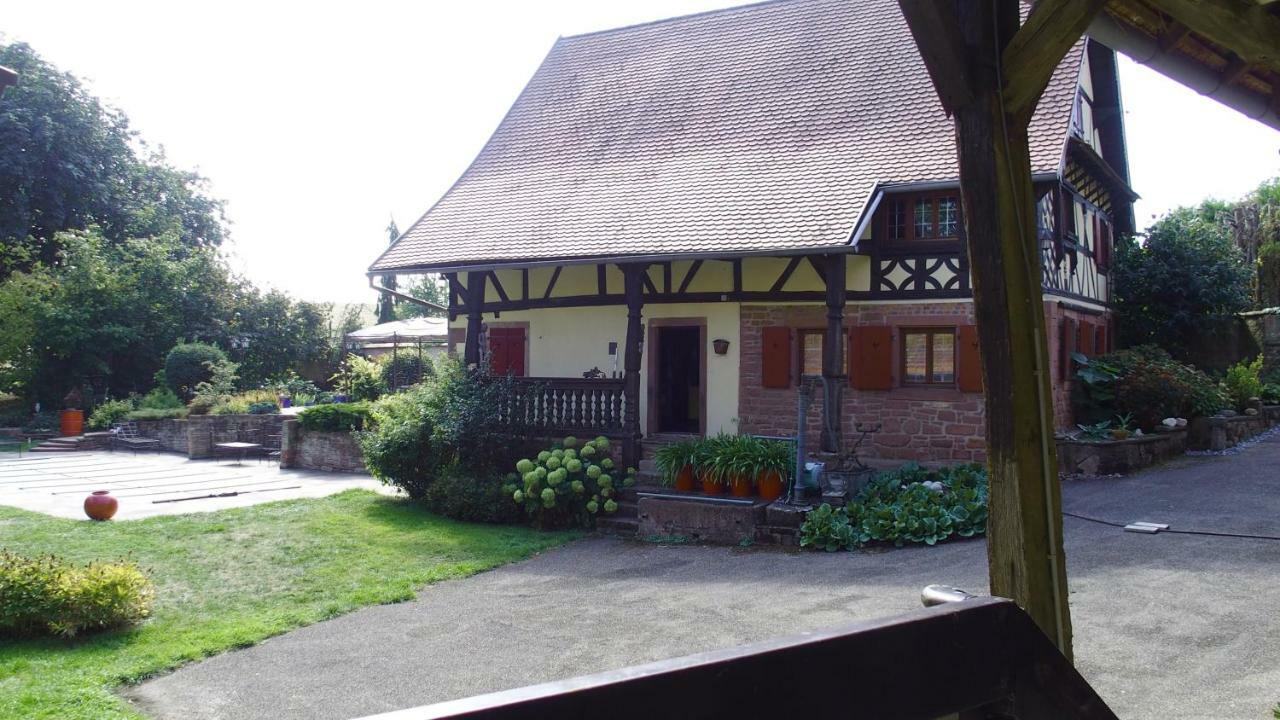 Le Gite Des Ecureuils Schalkendorf Bagian luar foto