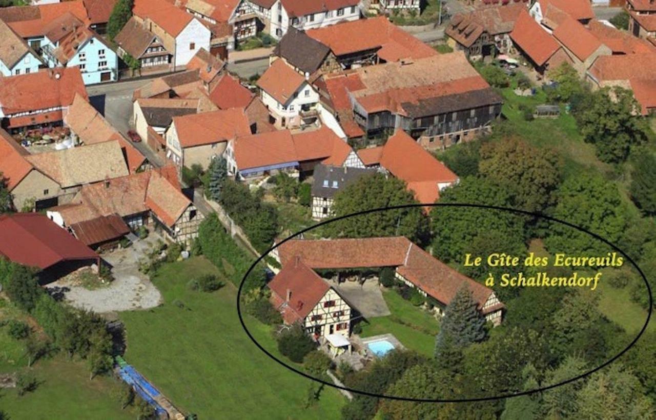 Le Gite Des Ecureuils Schalkendorf Bagian luar foto